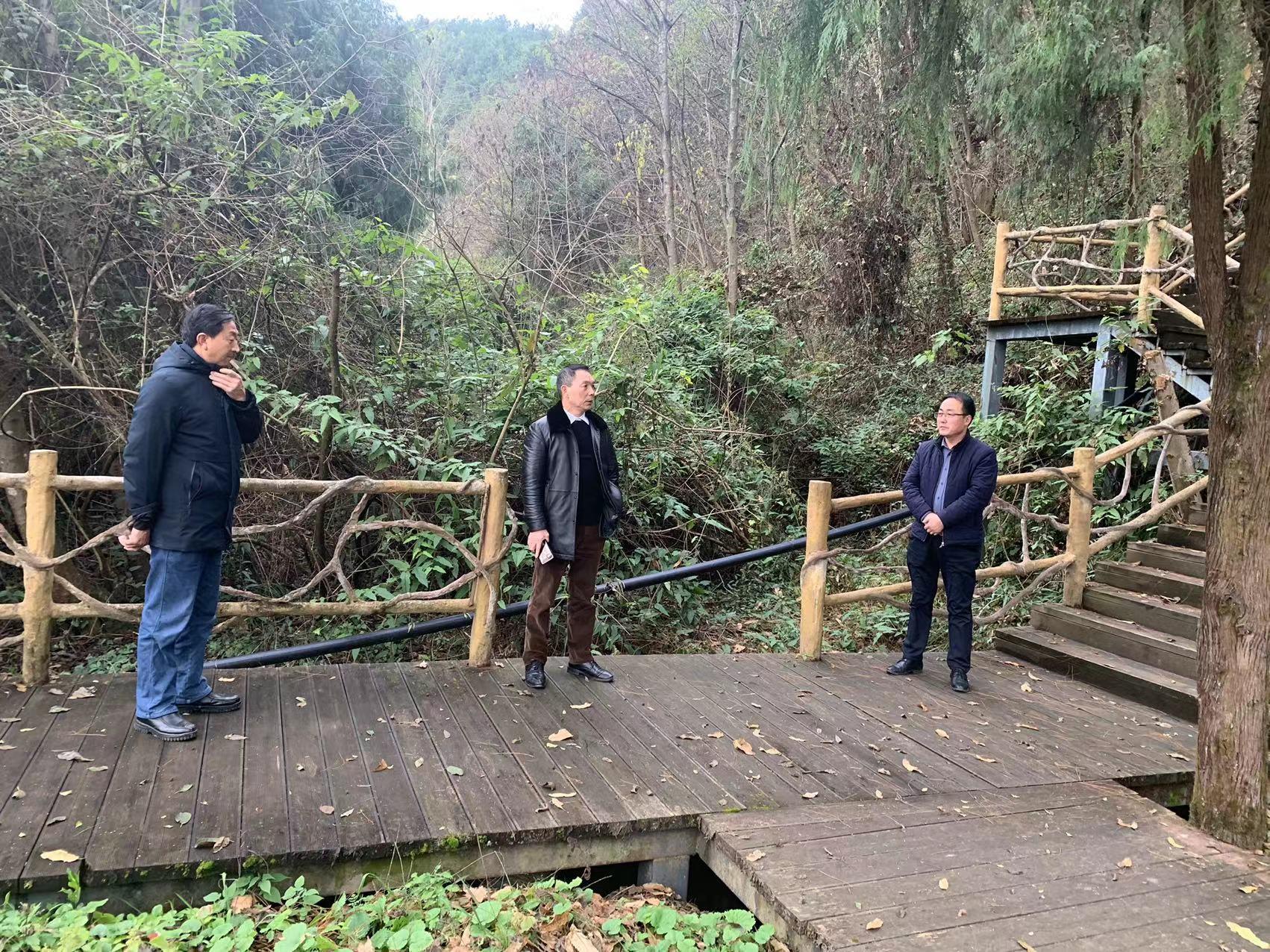西兴镇人大副主席杜主席视察皇家山景区-皇家山