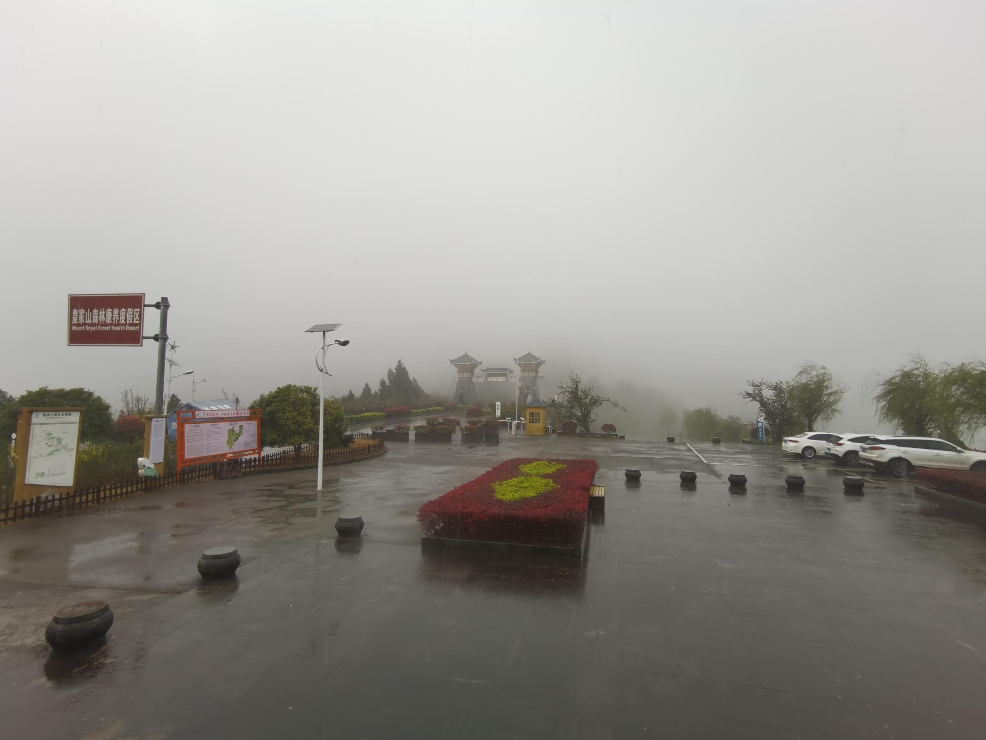 【每日一景】雨中的我，与众不同-皇家山