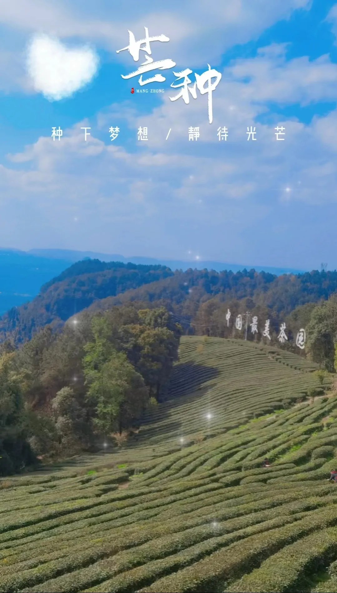 ⌈二十四节气⌋芒种-皇家山