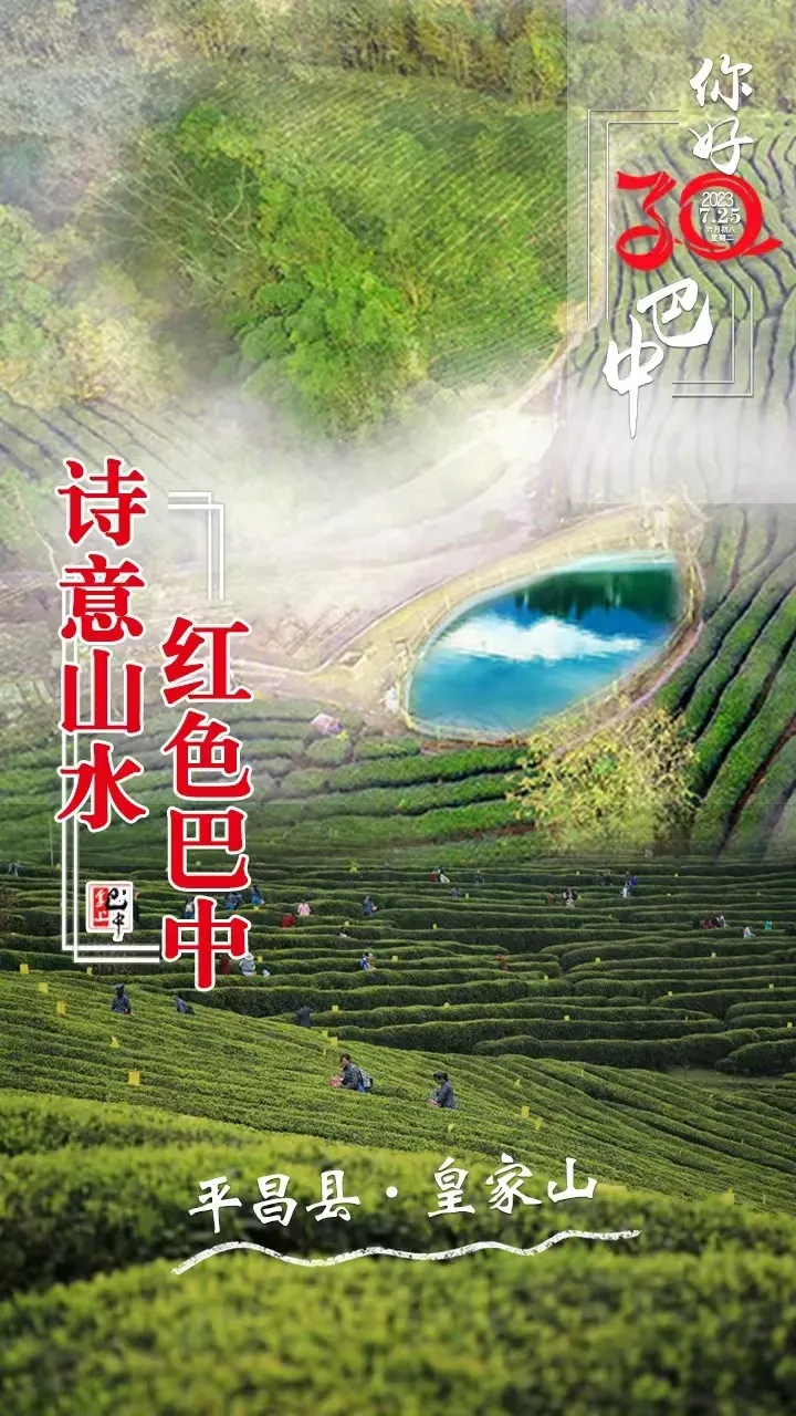 一眼30年·海报｜皇家山：绿意葱茏 茶山青翠-皇家山